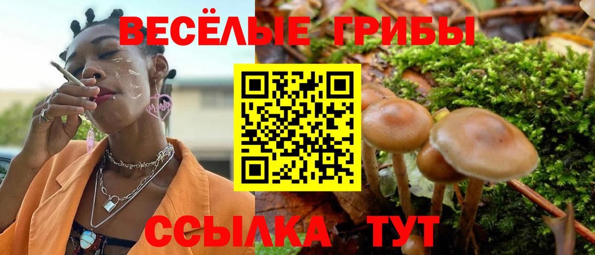 Галлюциногенные грибы MAGIC MUSHROOMS  Вход с VPN  Феодосия 